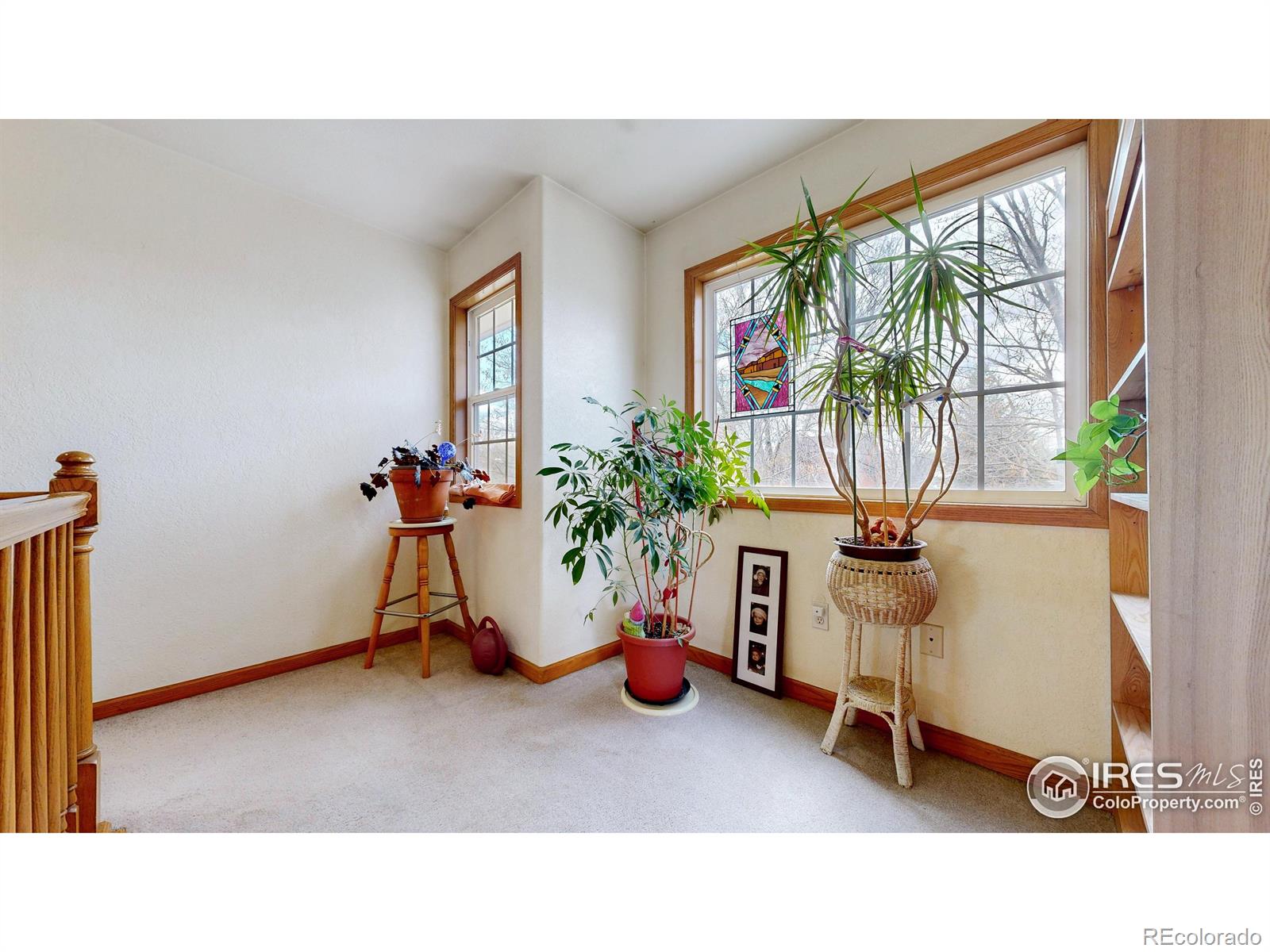 MLS Image #8 for 313 e iowa avenue,berthoud, Colorado