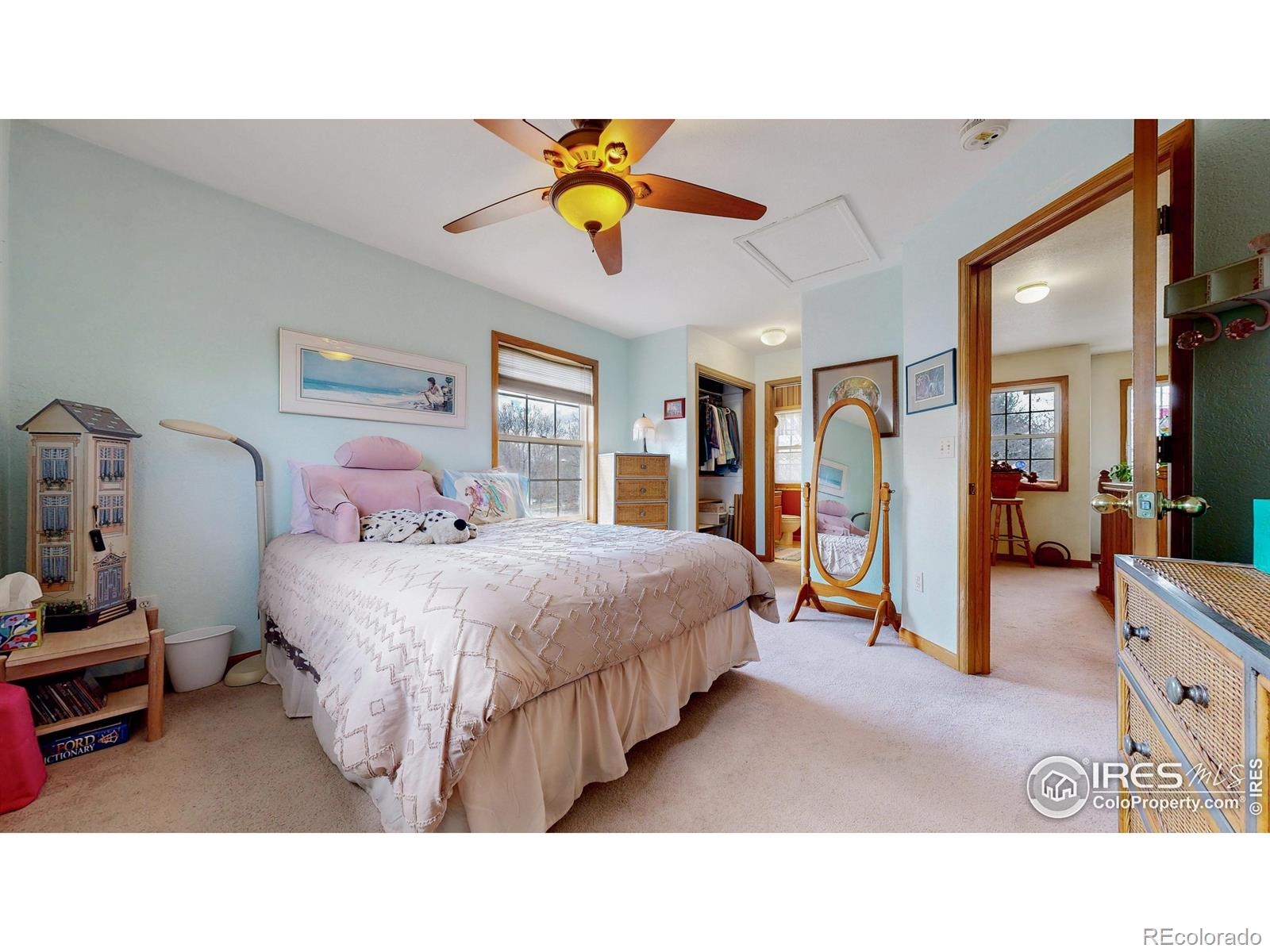 MLS Image #9 for 313 e iowa avenue,berthoud, Colorado