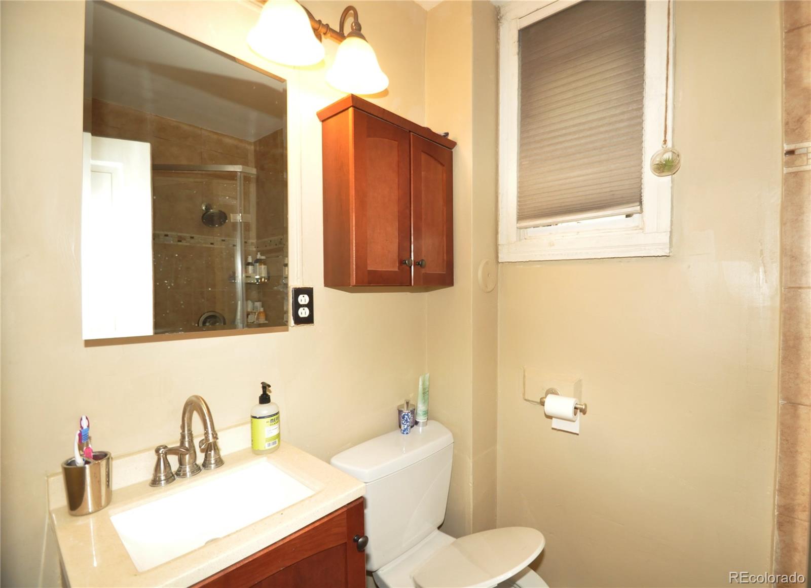 MLS Image #12 for 1052  lipan street,denver, Colorado