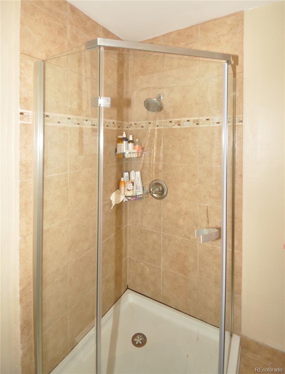 MLS Image #13 for 1052  lipan street,denver, Colorado