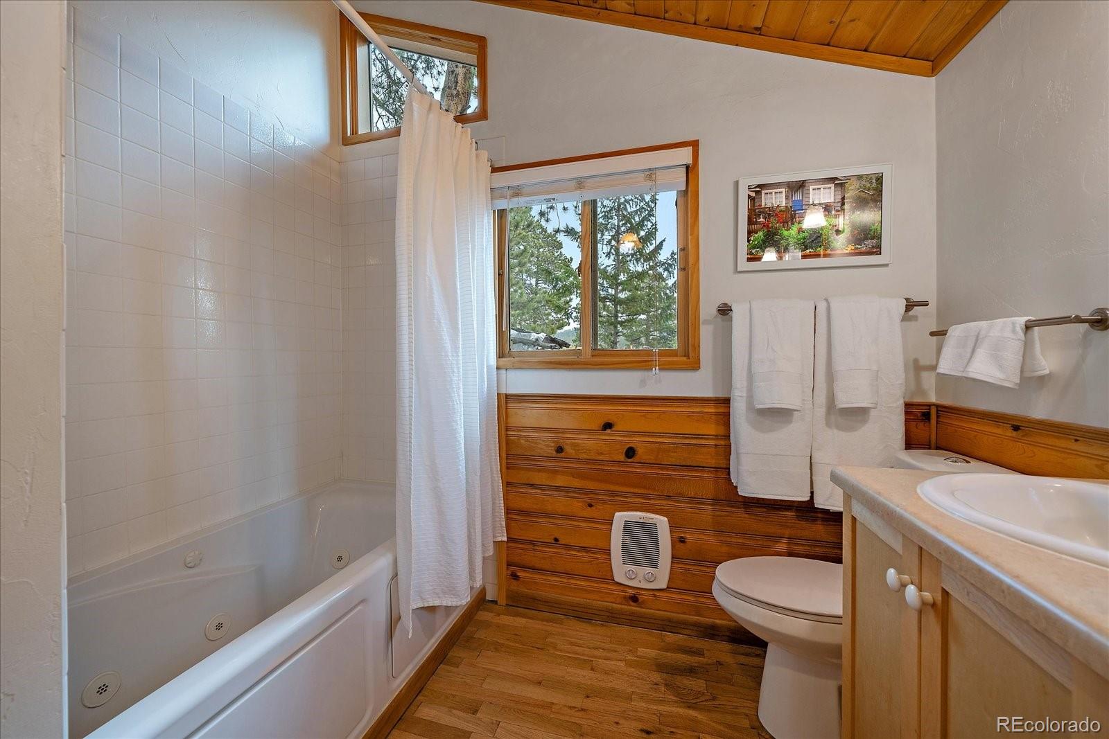 MLS Image #18 for 27888  richmond hill road,conifer, Colorado