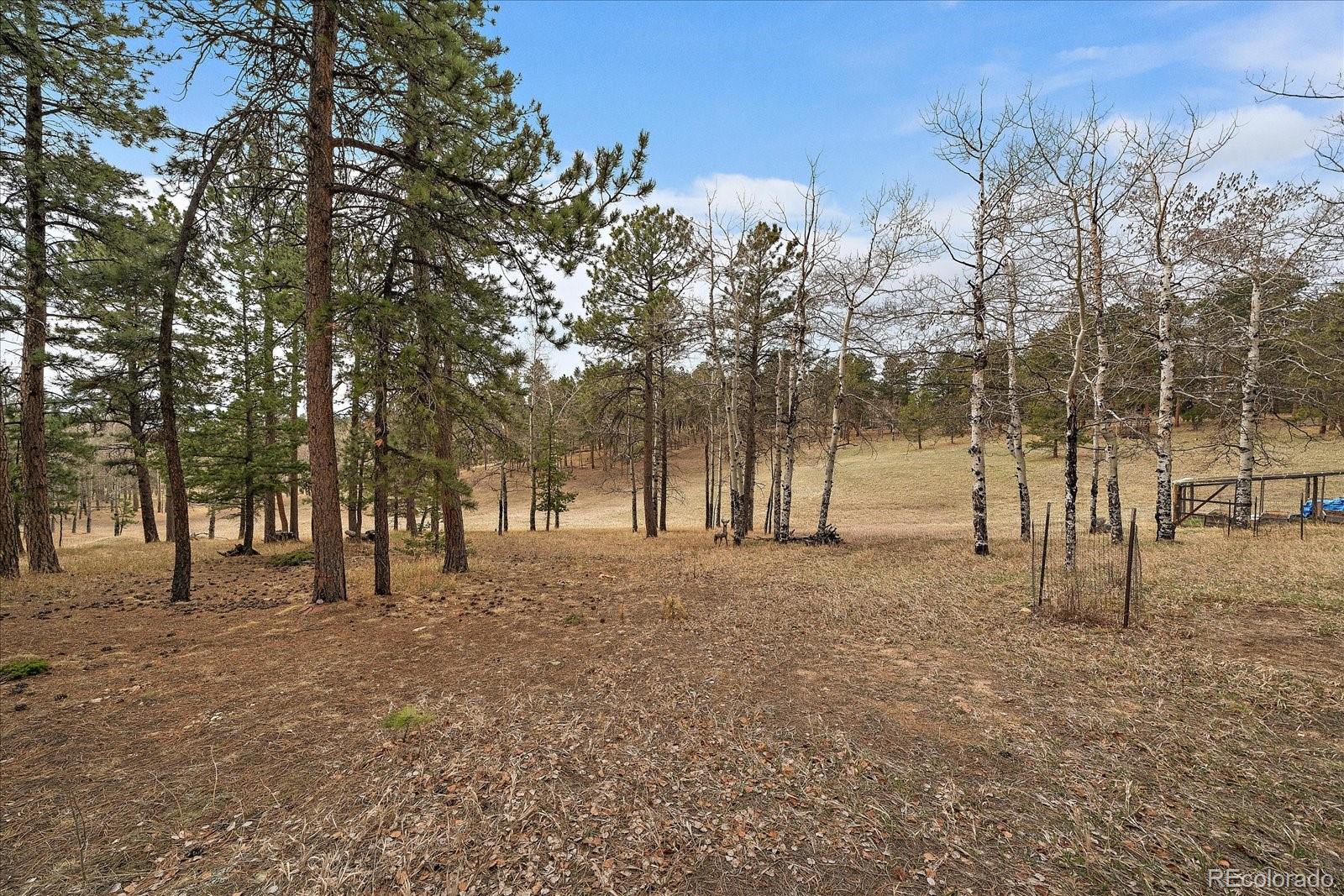 MLS Image #27 for 27888  richmond hill road,conifer, Colorado