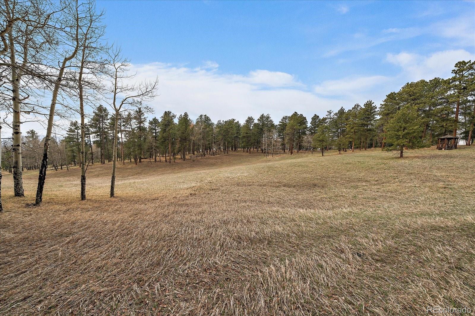 MLS Image #29 for 27888  richmond hill road,conifer, Colorado