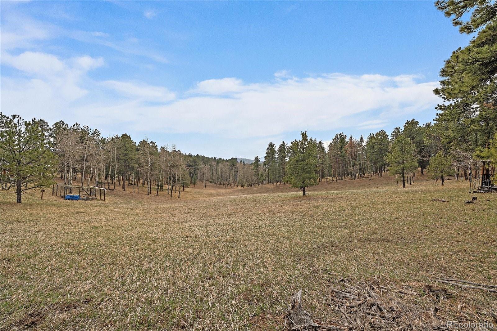 MLS Image #31 for 27888  richmond hill road,conifer, Colorado