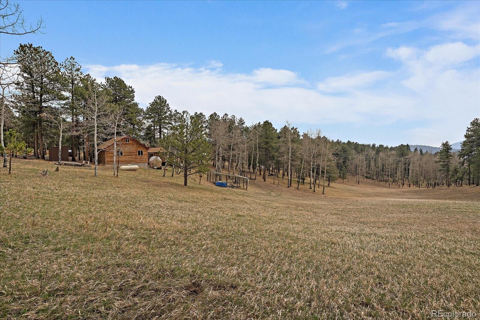 MLS Image #32 for 27888  richmond hill road,conifer, Colorado