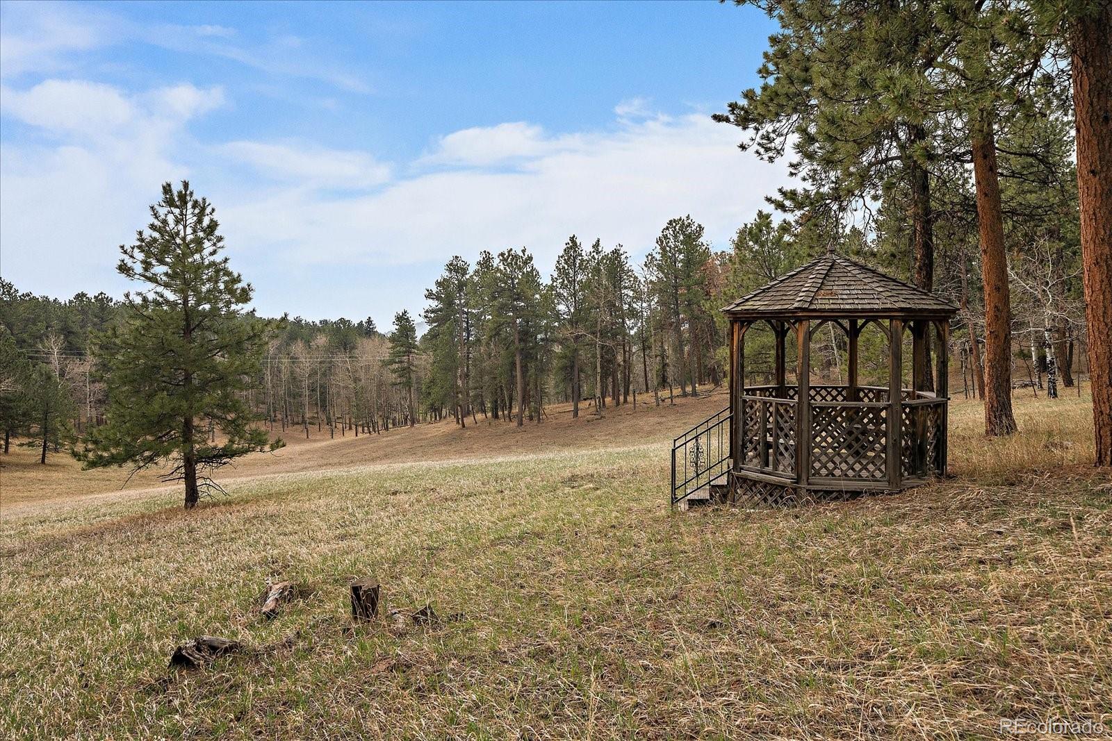 MLS Image #33 for 27888  richmond hill road,conifer, Colorado