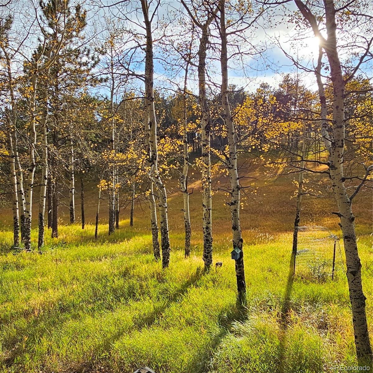MLS Image #44 for 27888  richmond hill road,conifer, Colorado