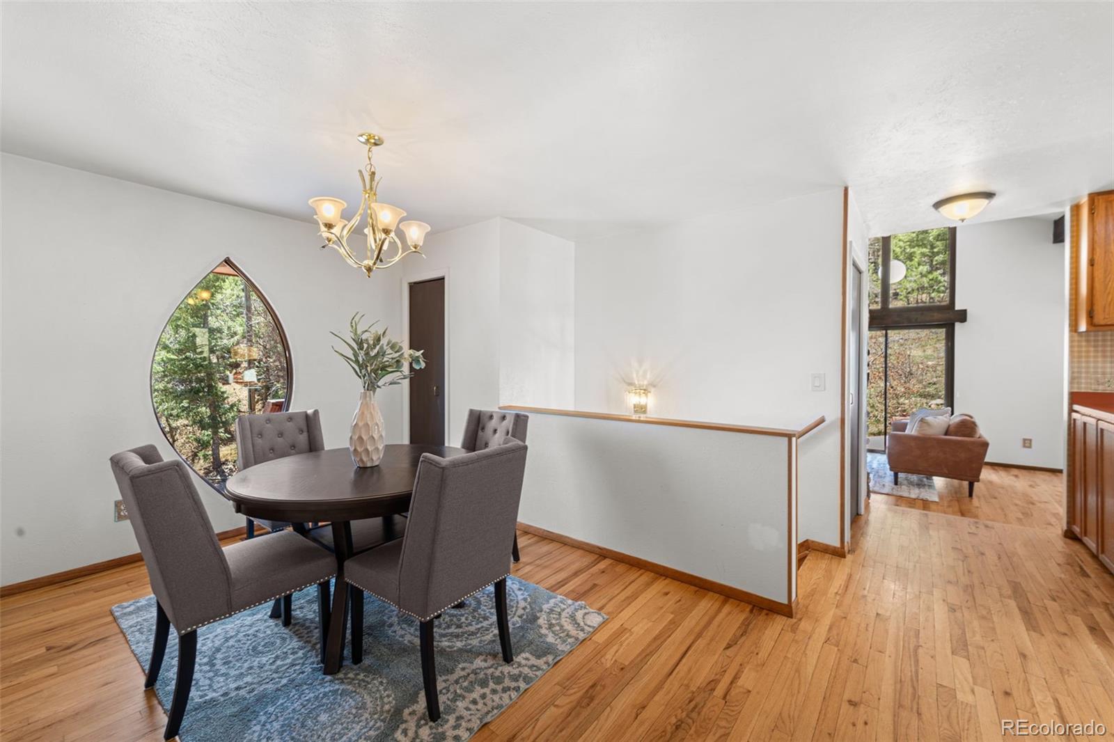 MLS Image #18 for 8290  poplar street,cascade, Colorado