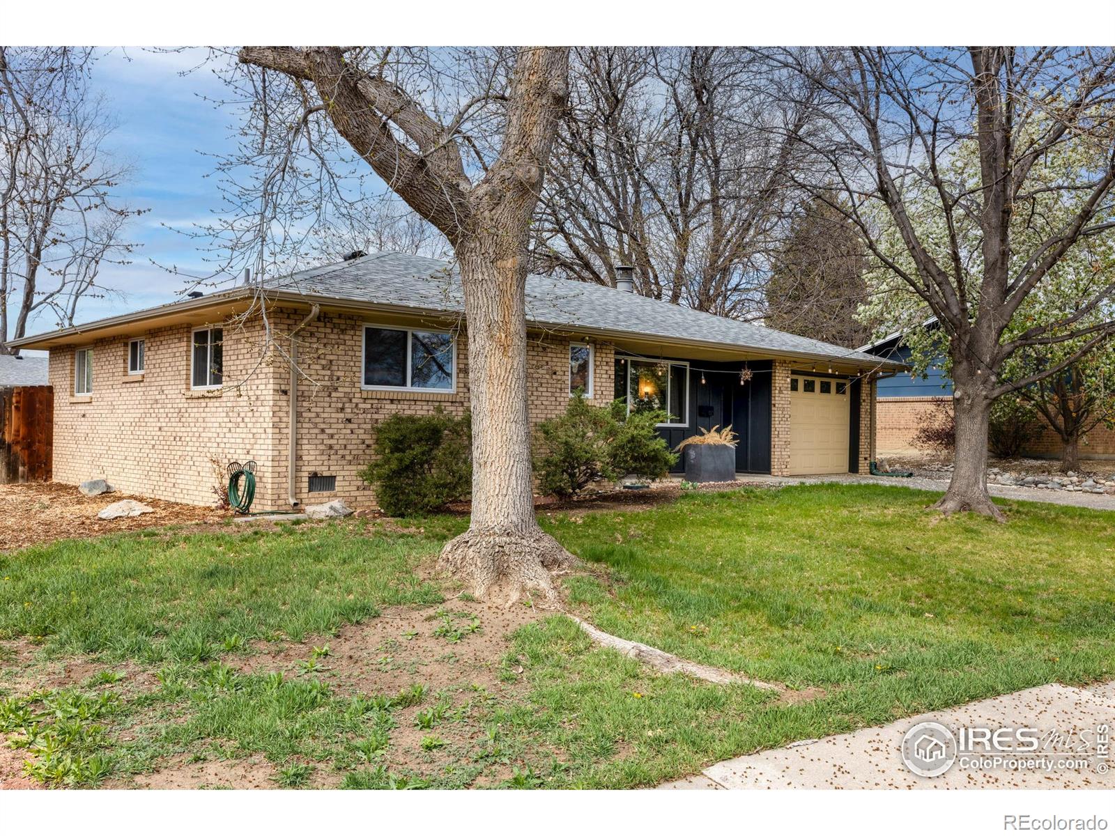 MLS Image #23 for 1527  sherri mar street,longmont, Colorado