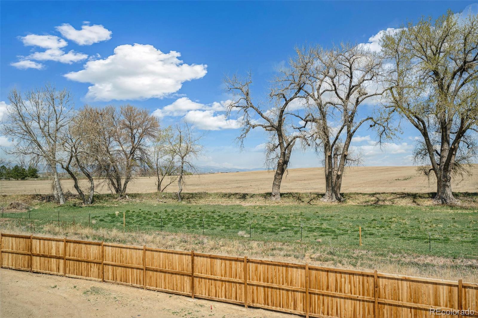 MLS Image #36 for 6207 e 155th place,brighton, Colorado