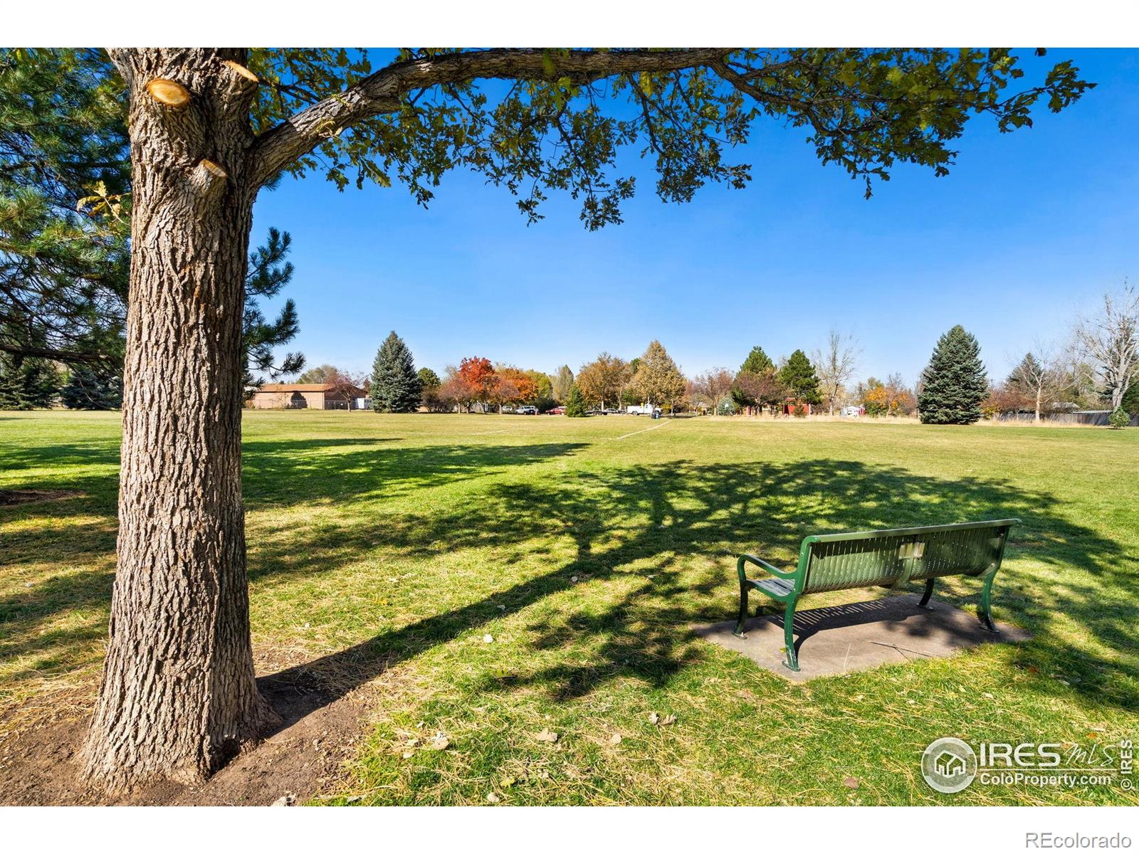 MLS Image #30 for 808  tyler street,fort collins, Colorado