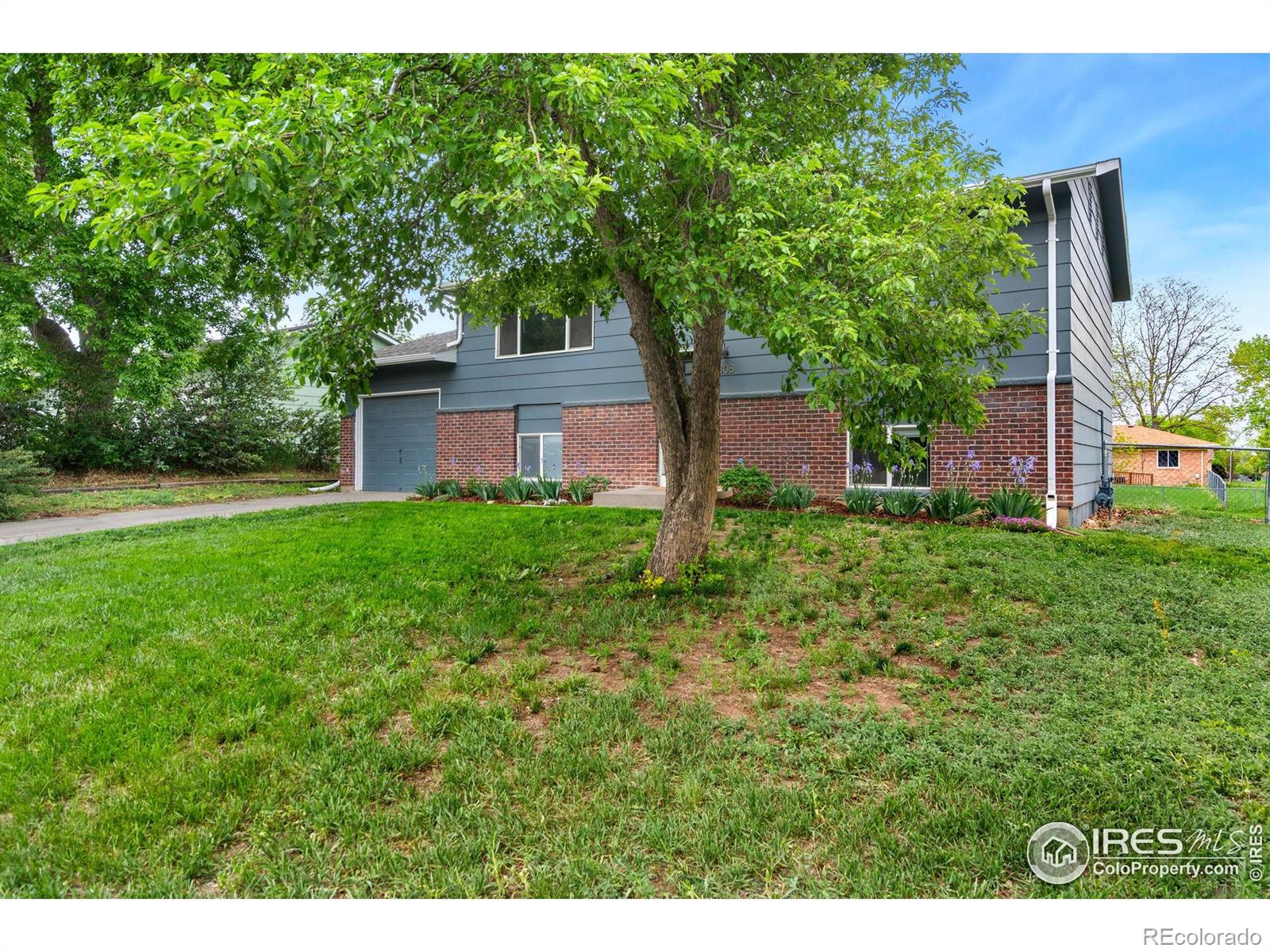 MLS Image #4 for 808  tyler street,fort collins, Colorado