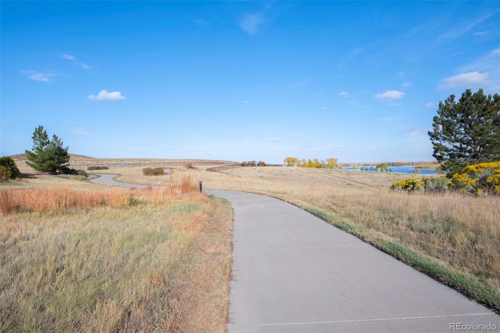 MLS Image #42 for 6475 s newcastle way,aurora, Colorado