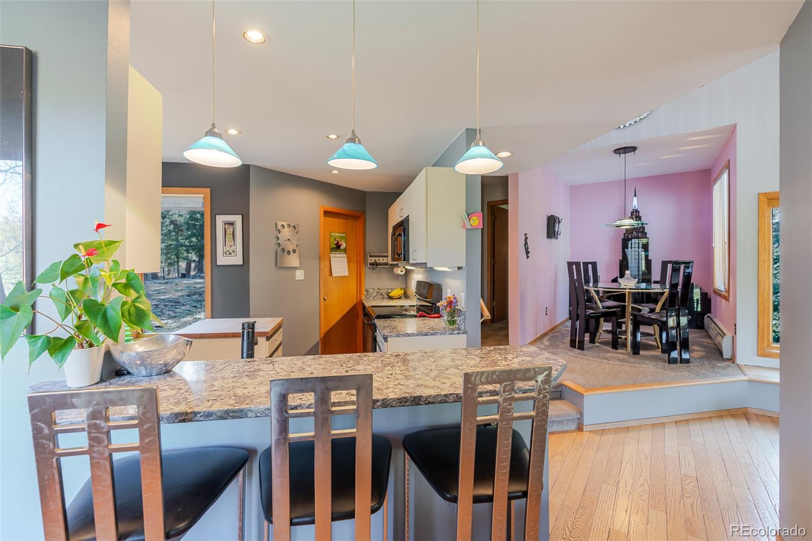 MLS Image #17 for 1375  nova road,pine, Colorado