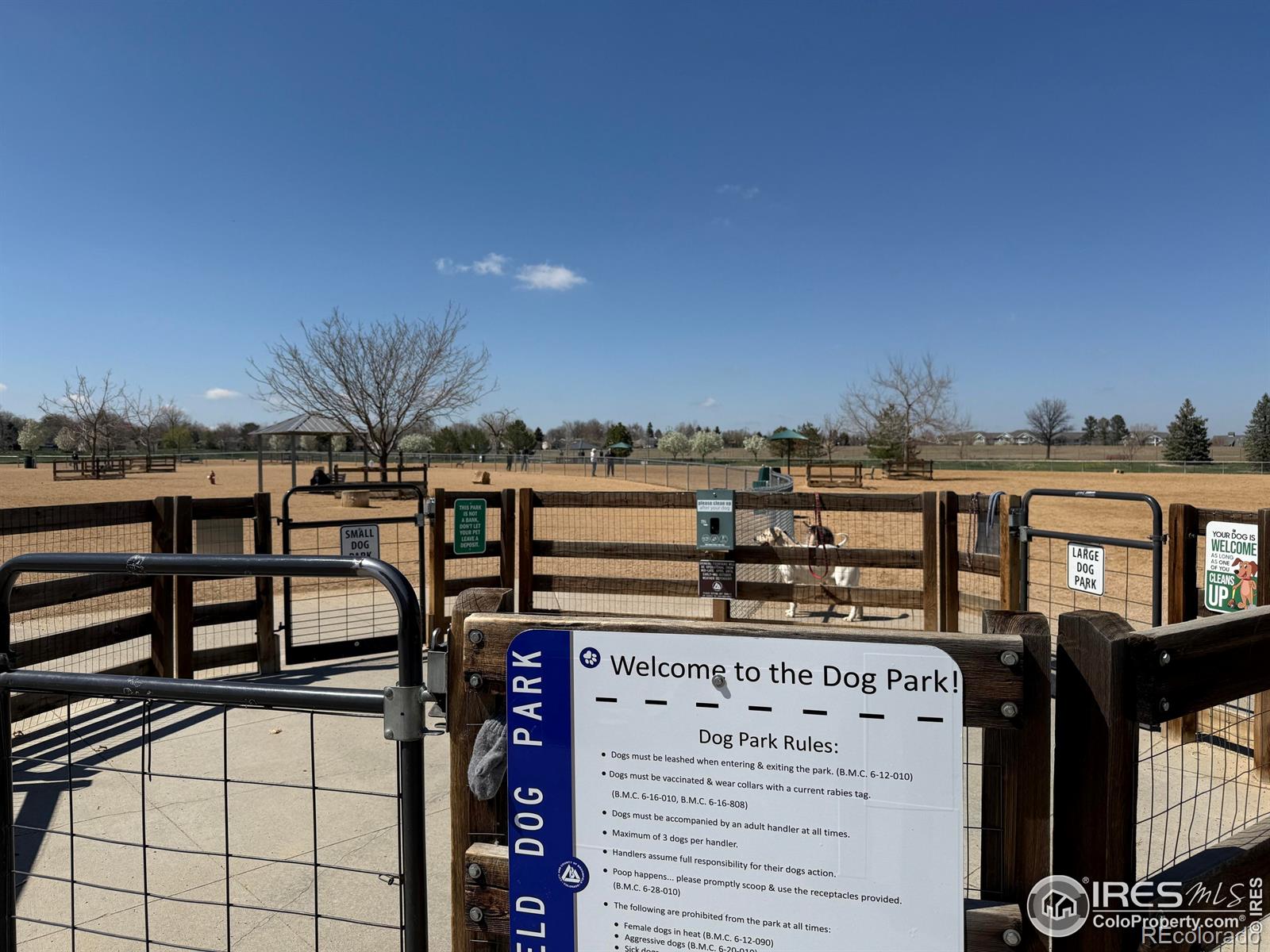 MLS Image #31 for 3752  red deer trail,broomfield, Colorado