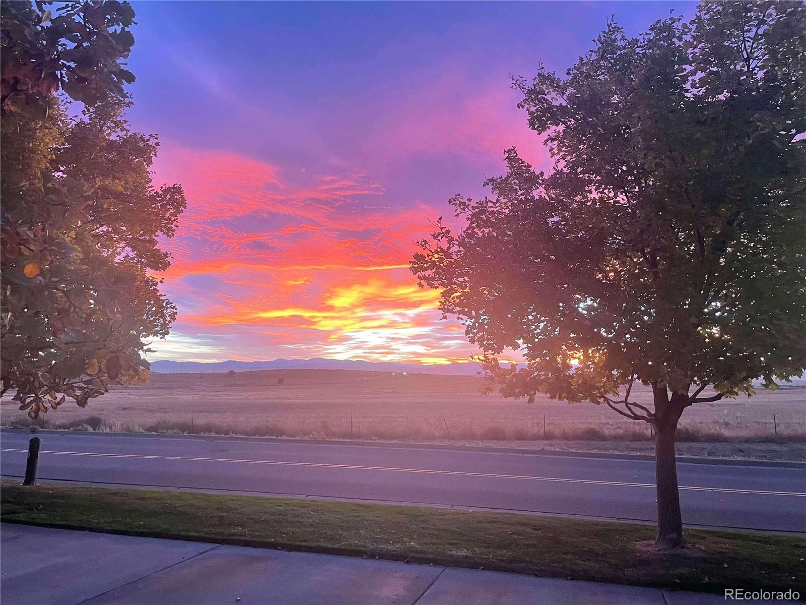 MLS Image #27 for 15612 e 96th way,commerce city, Colorado