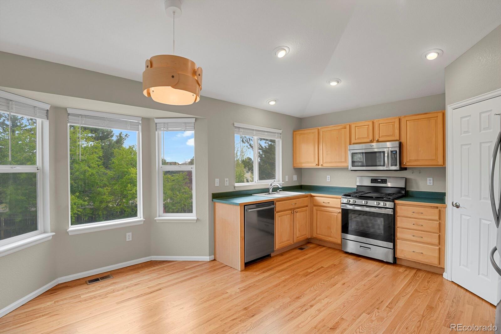 MLS Image #12 for 21684  swale avenue,parker, Colorado