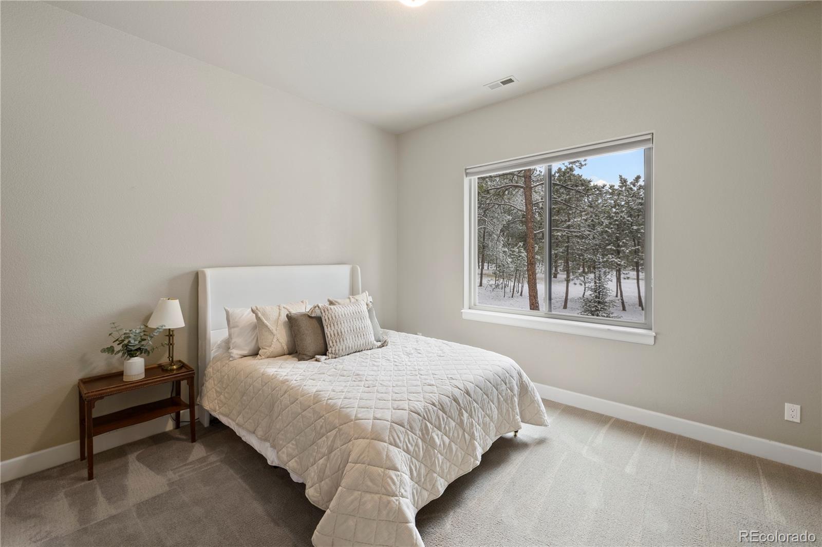 MLS Image #24 for 15304  pole pine point,colorado springs, Colorado