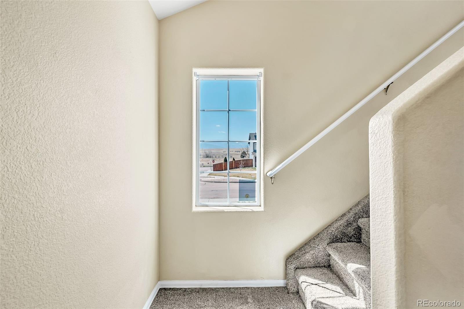 MLS Image #21 for 9214  sand myrtle drive,colorado springs, Colorado