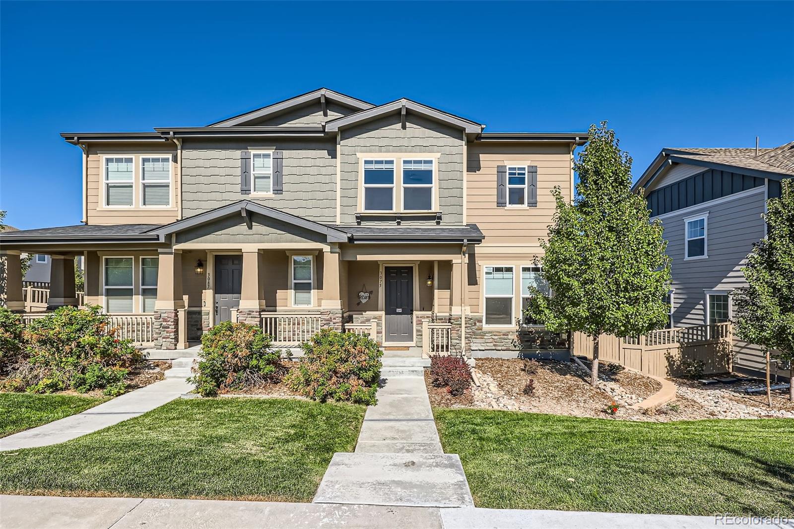 CMA Image for 3323  youngheart way,Castle Rock, Colorado