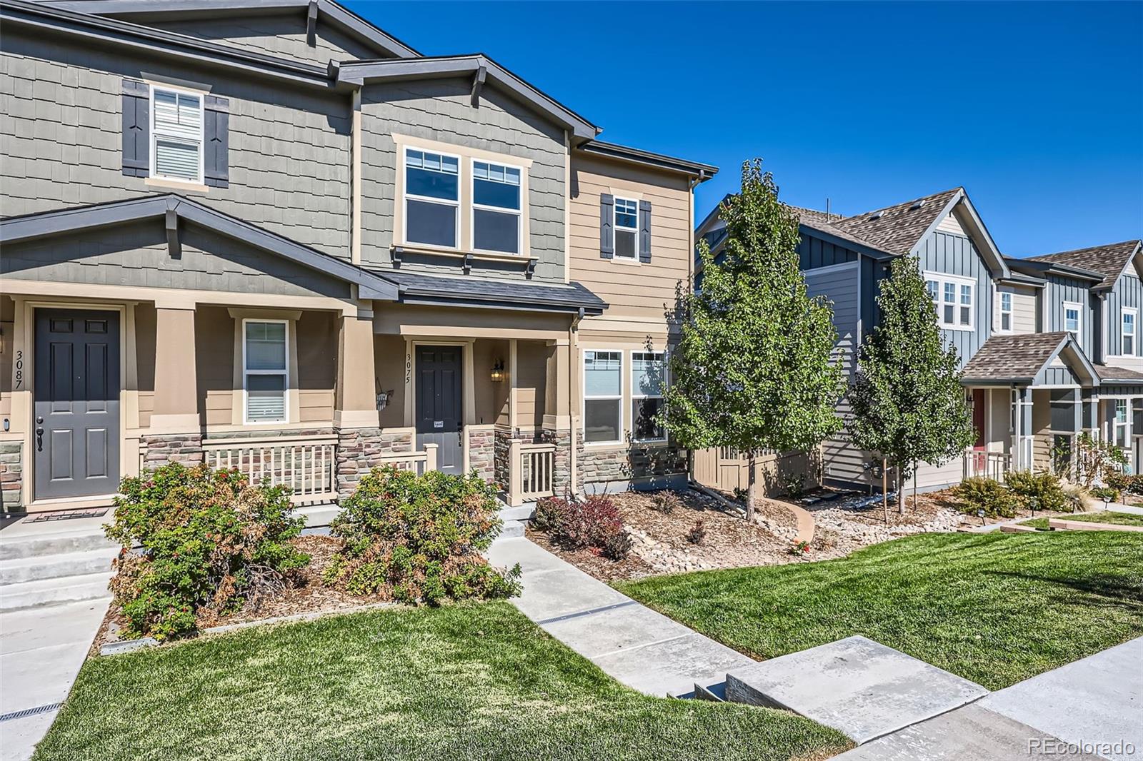 MLS Image #2 for 3075  distant rock avenue,castle rock, Colorado