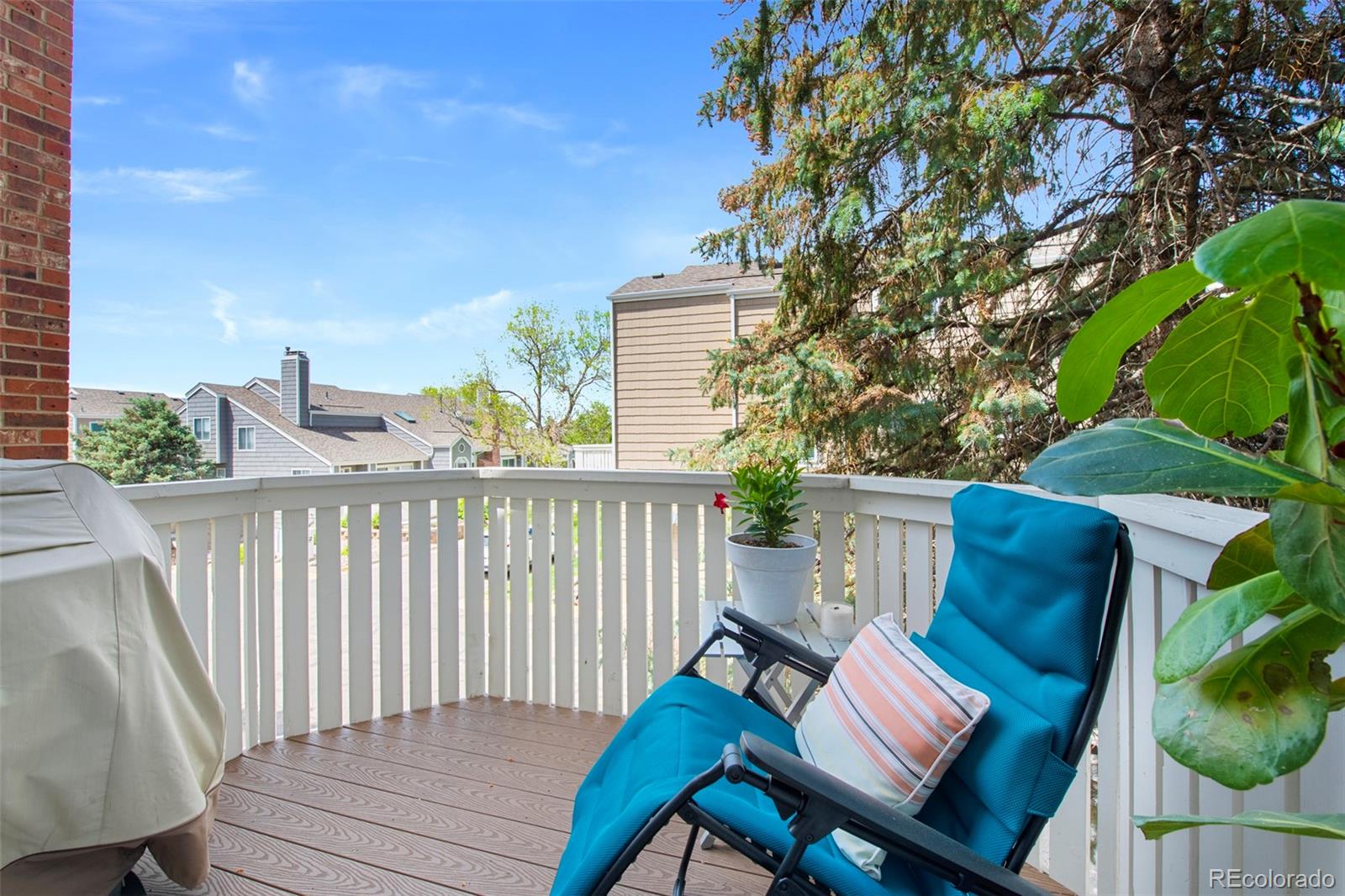 MLS Image #24 for 150  blue spruce court,highlands ranch, Colorado