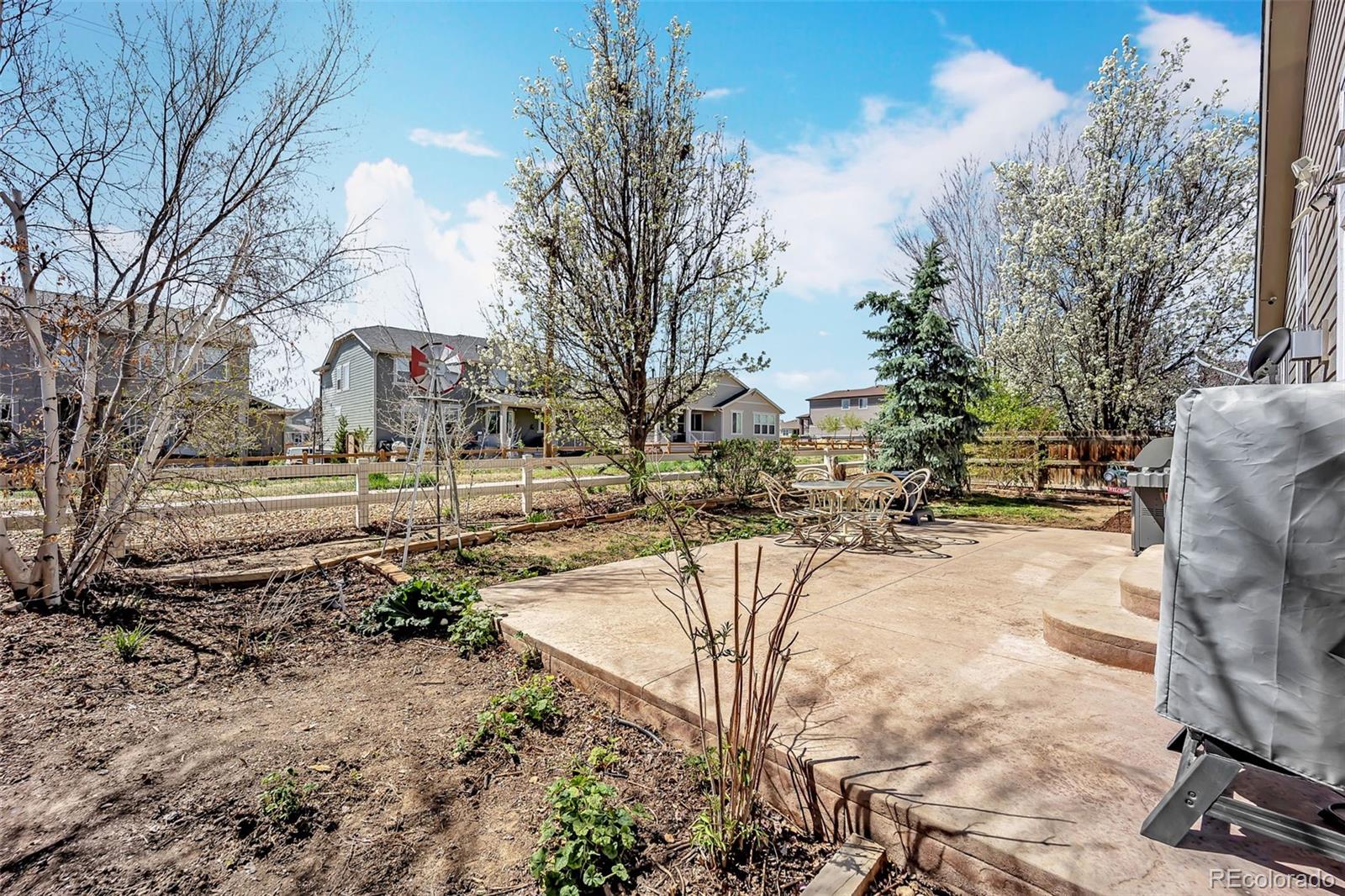 MLS Image #31 for 16048  butterwort circle,parker, Colorado