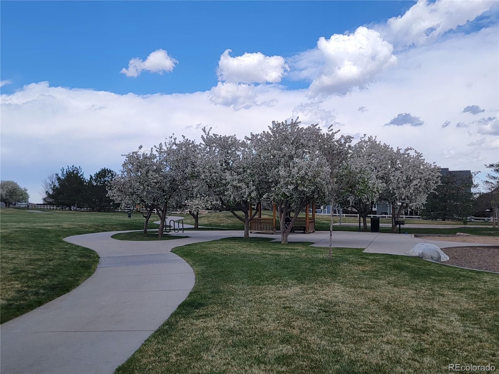 MLS Image #33 for 16048  butterwort circle,parker, Colorado