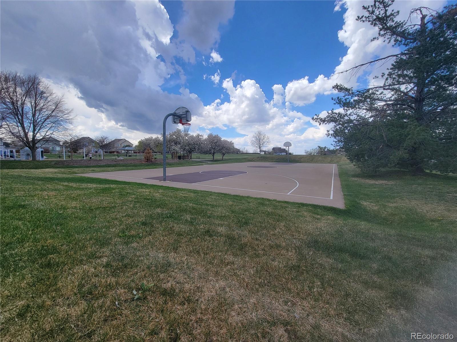 MLS Image #34 for 16048  butterwort circle,parker, Colorado