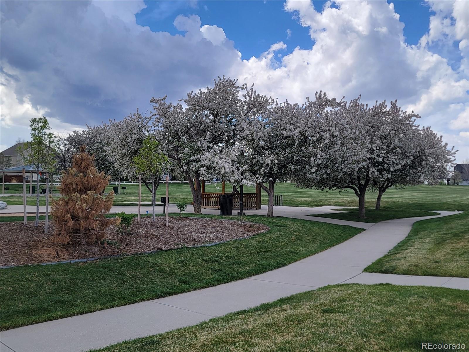 MLS Image #35 for 16048  butterwort circle,parker, Colorado