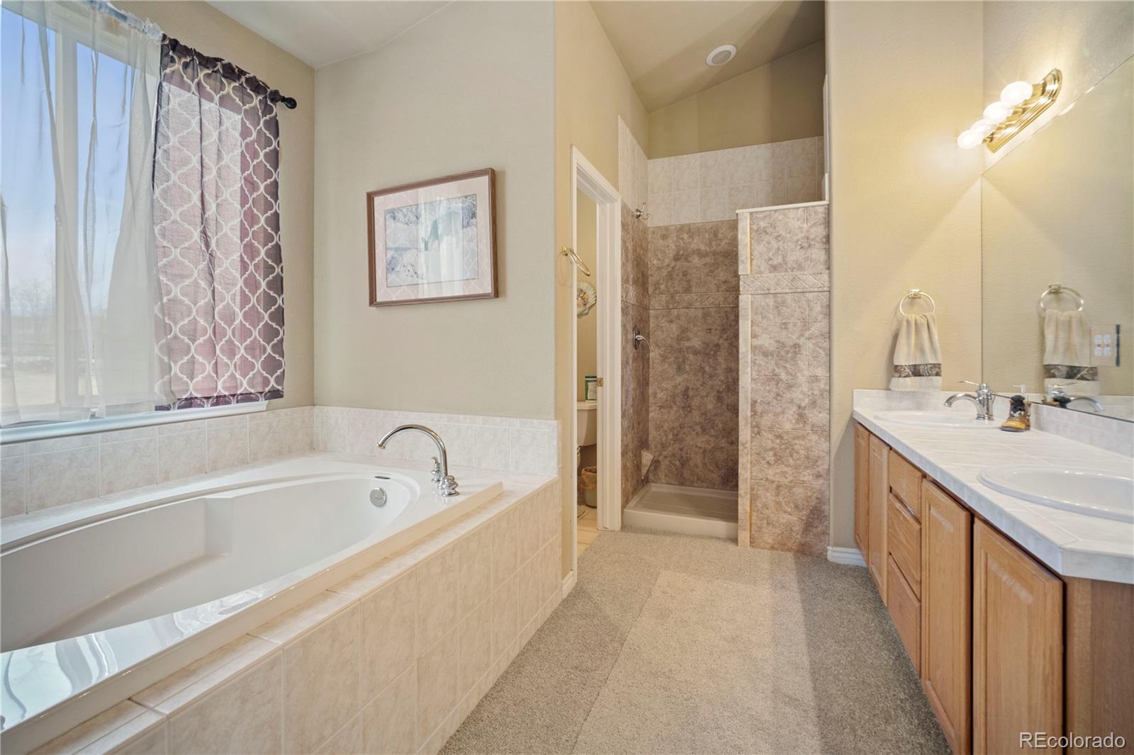 MLS Image #20 for 925  antelope drive,bennett, Colorado