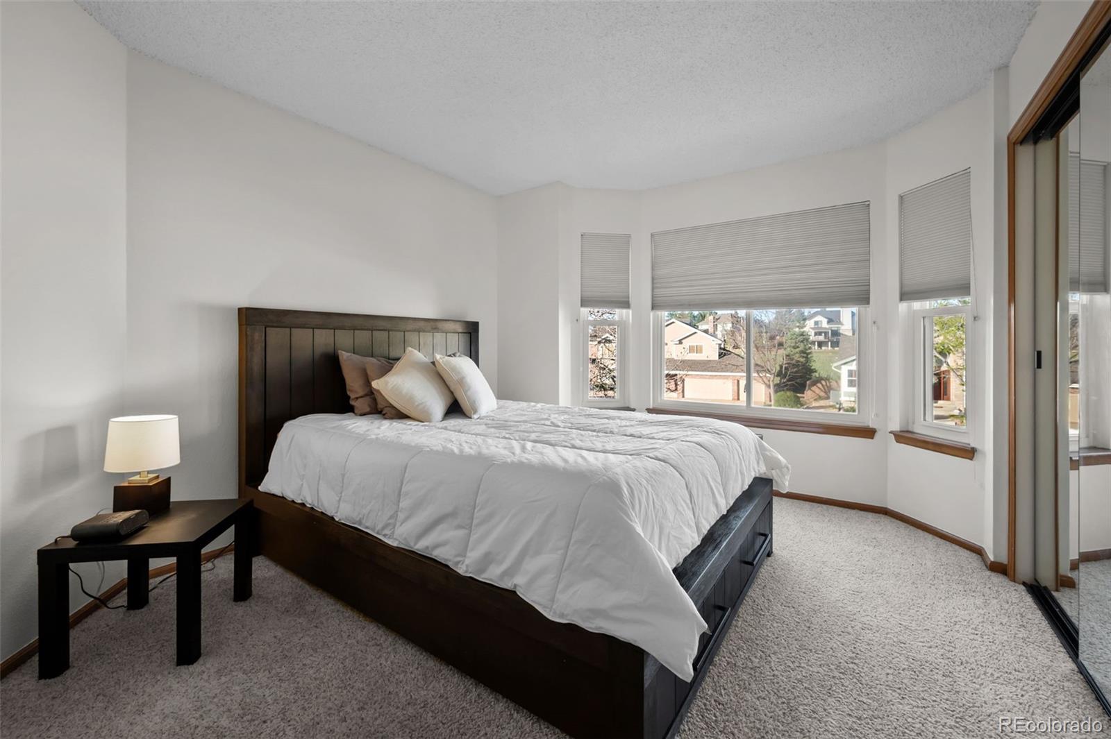 MLS Image #17 for 2042  chesapeake place,highlands ranch, Colorado
