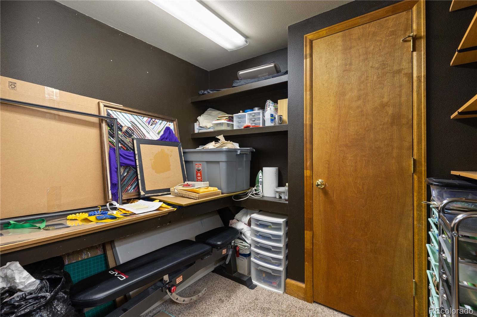 MLS Image #27 for 6307  monterey place,highlands ranch, Colorado
