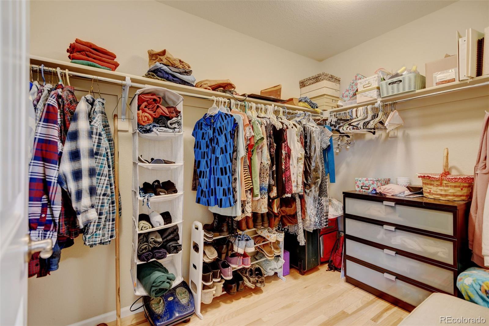 MLS Image #21 for 4867  wildflower place,dacono, Colorado