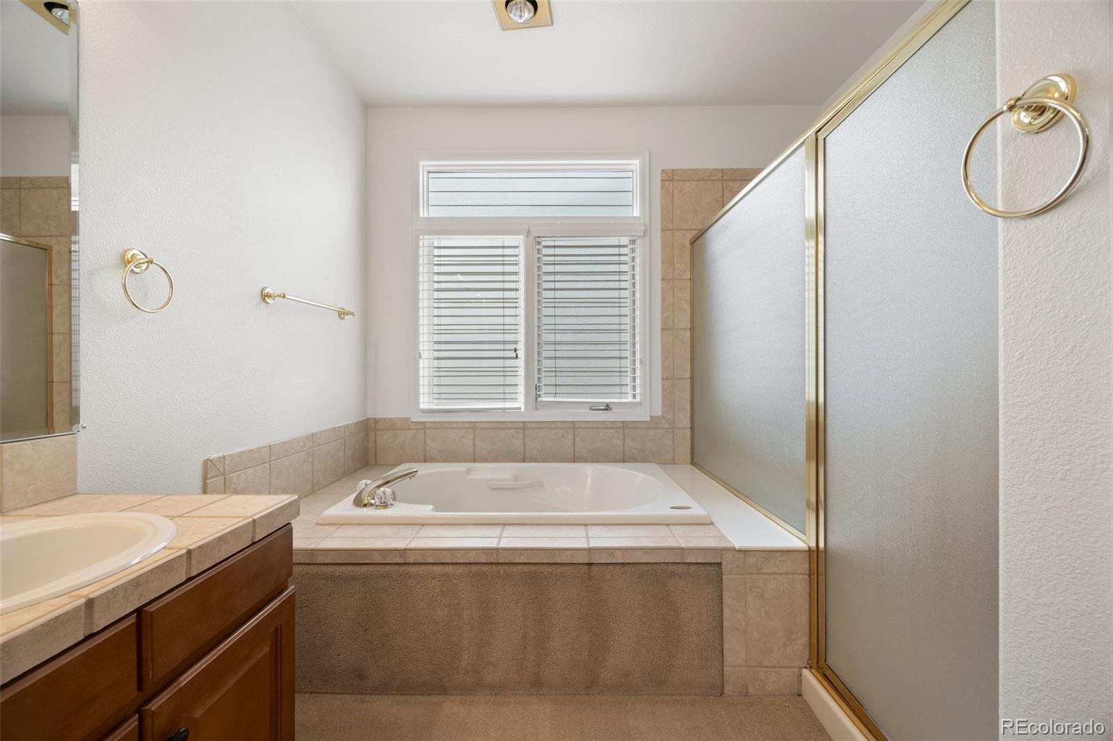 MLS Image #27 for 5322  shetland court,highlands ranch, Colorado