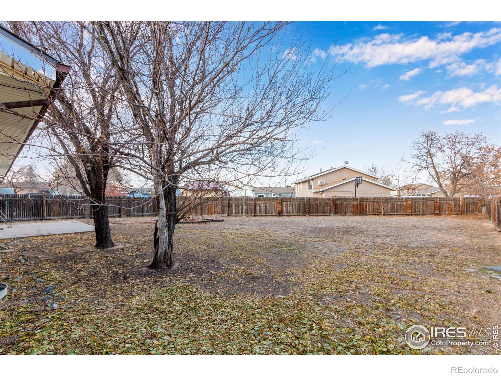 MLS Image #3 for 319  stockton court,gilcrest, Colorado