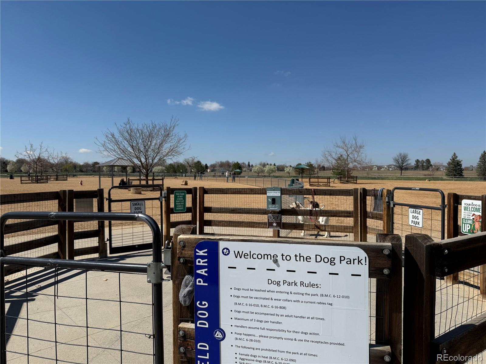 MLS Image #31 for 3752  red deer trail,broomfield, Colorado
