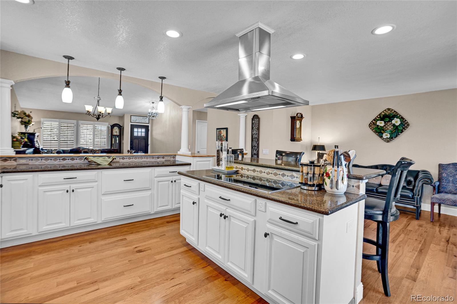 MLS Image #12 for 845  northridge road,highlands ranch, Colorado