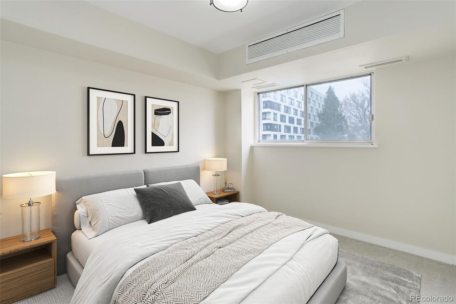 MLS Image #13 for 1121  albion street,denver, Colorado