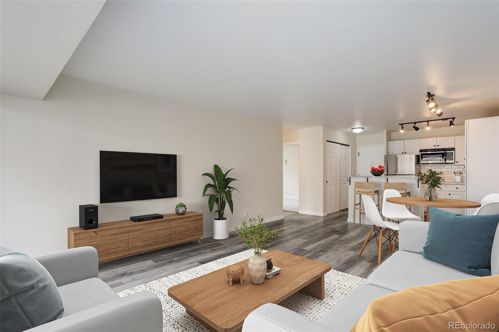 MLS Image #2 for 1121  albion street,denver, Colorado