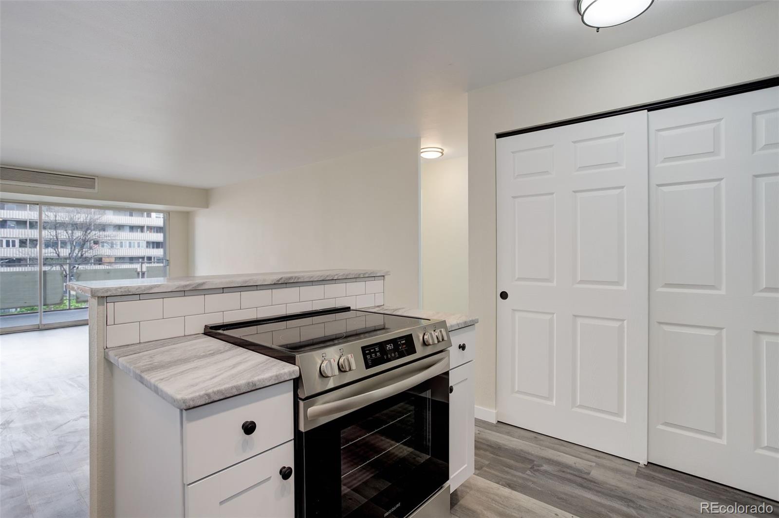 MLS Image #8 for 1121  albion street,denver, Colorado