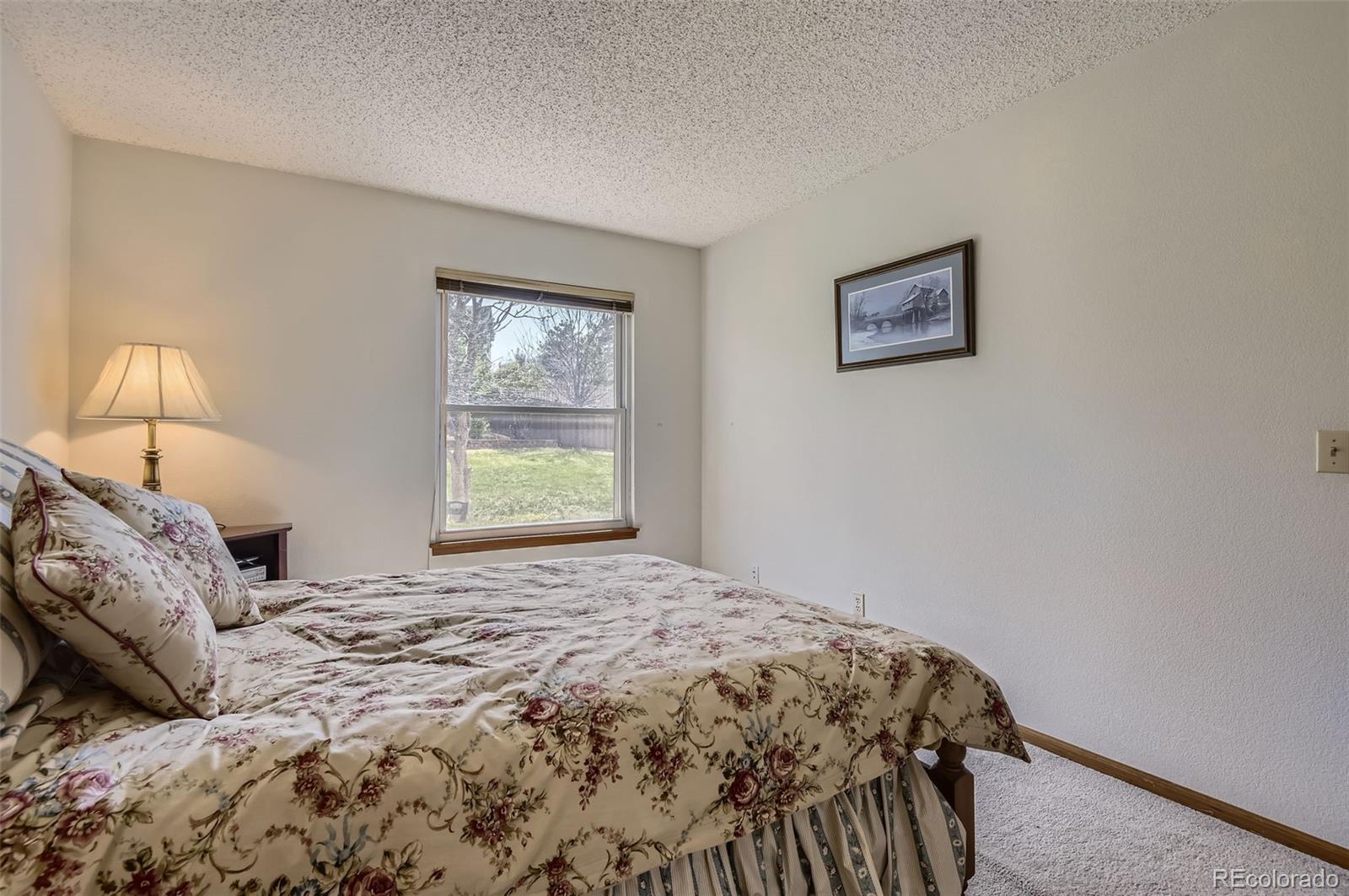 MLS Image #19 for 1604  brookside drive,highlands ranch, Colorado