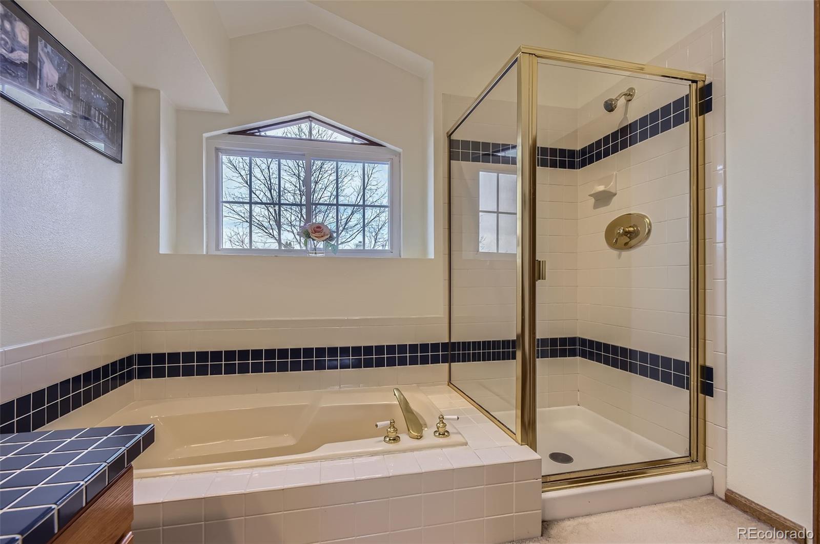 MLS Image #26 for 1604  brookside drive,highlands ranch, Colorado