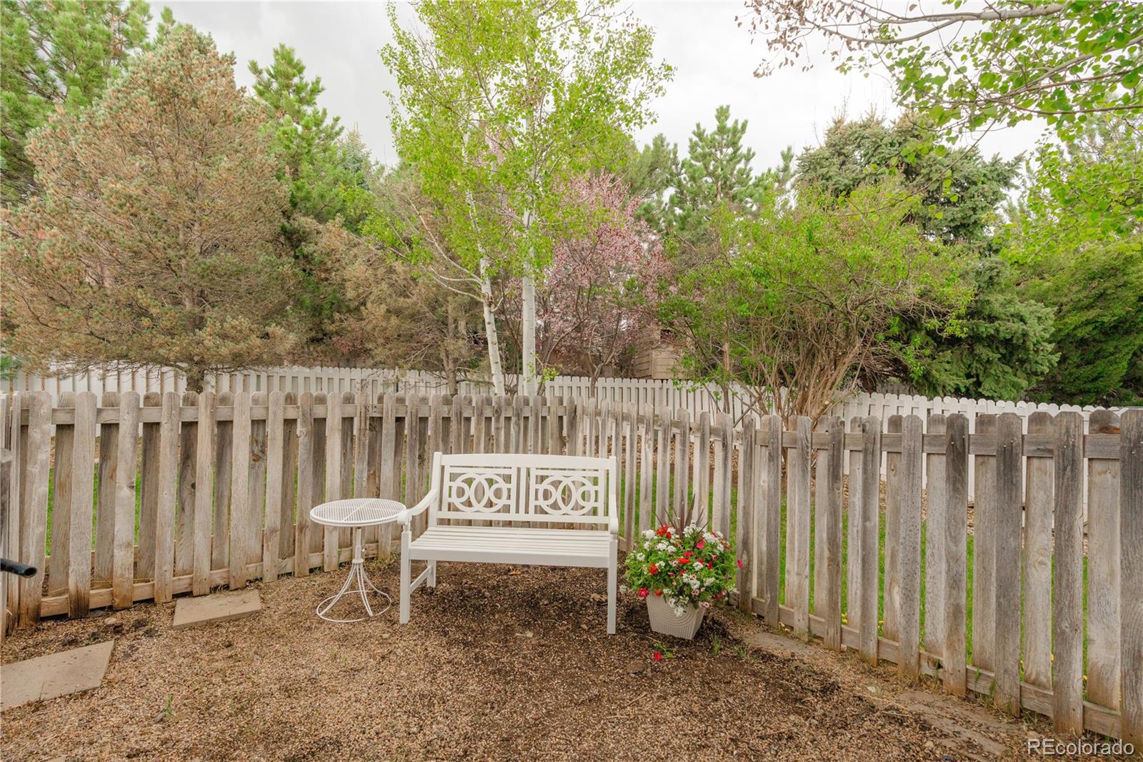 MLS Image #22 for 3186  springmeadow circle,castle rock, Colorado