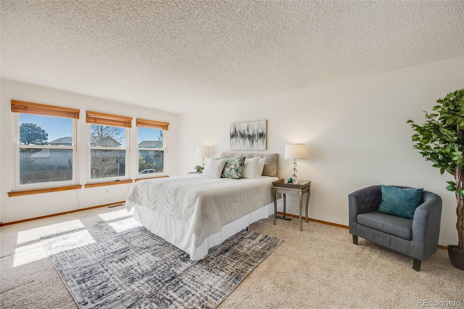 MLS Image #10 for 10436 w 84th place,arvada, Colorado