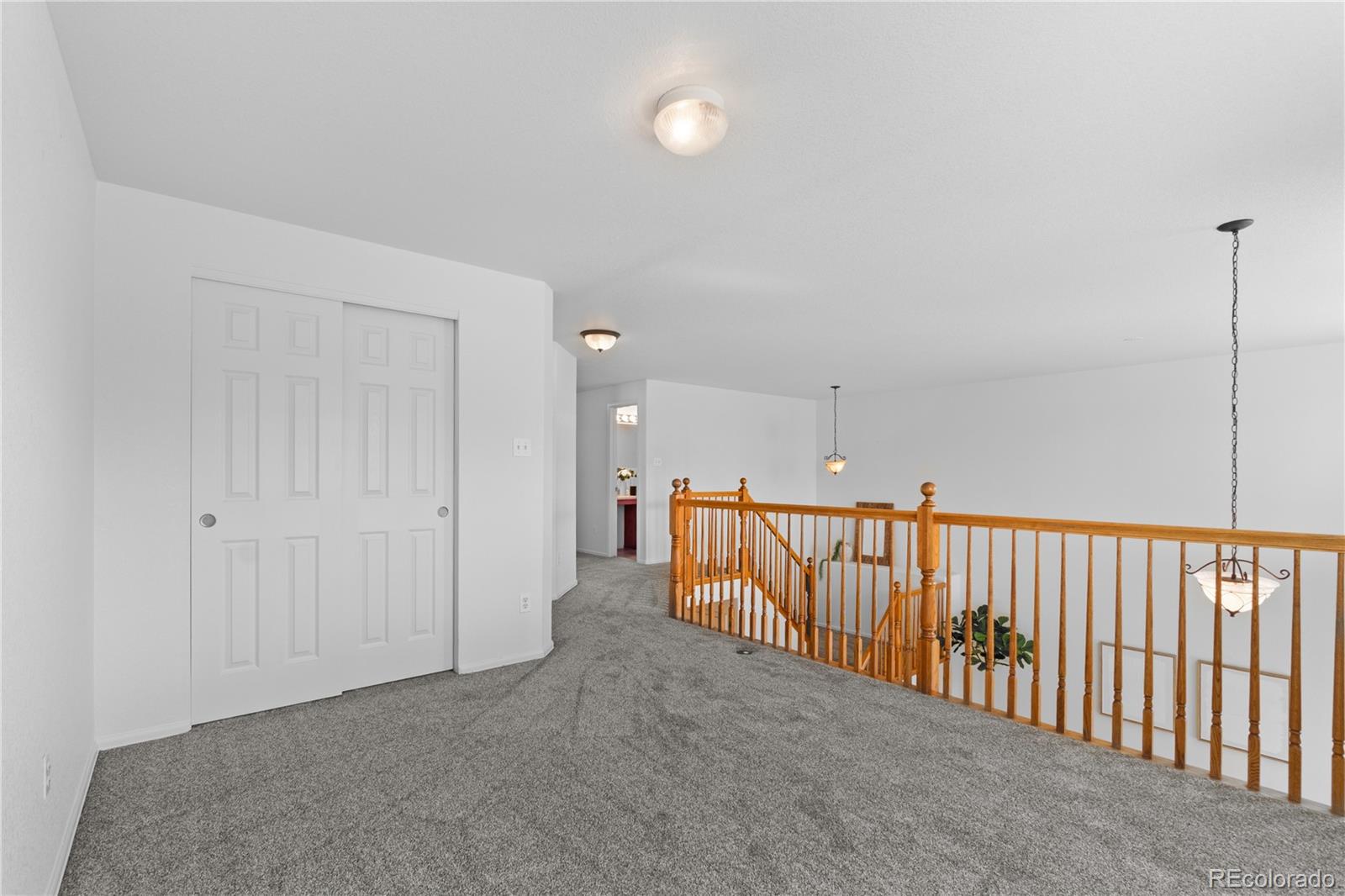 MLS Image #14 for 10933 e 115th place,commerce city, Colorado