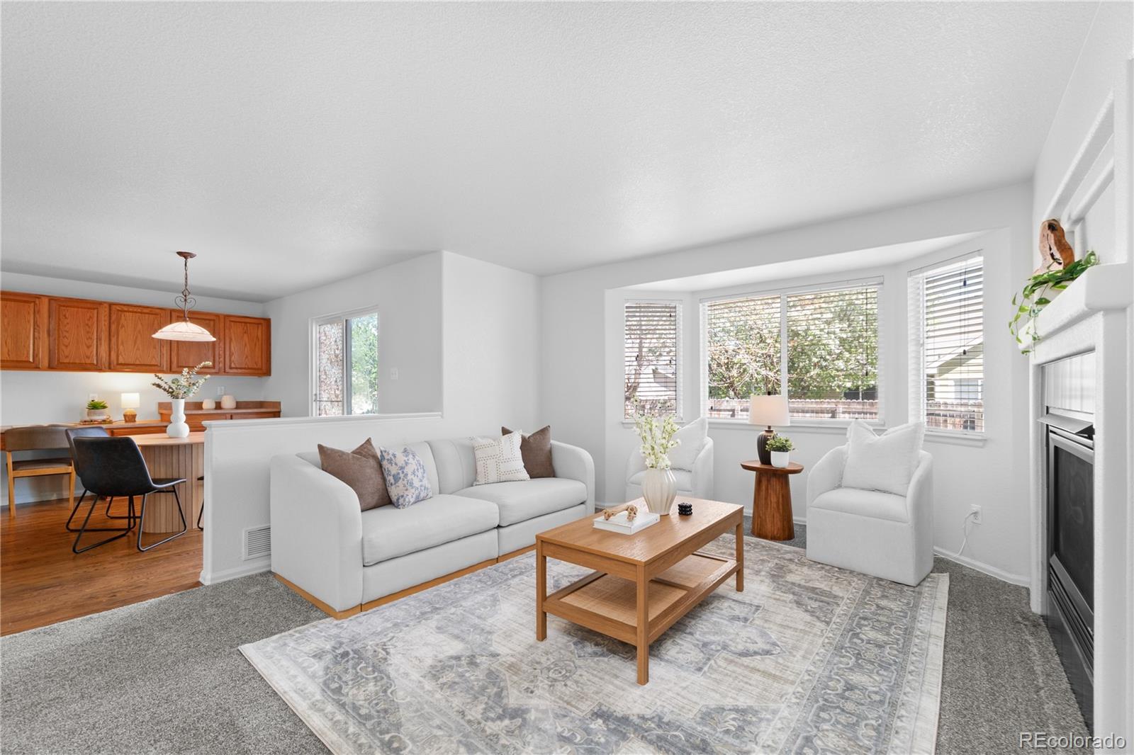 MLS Image #8 for 10933 e 115th place,commerce city, Colorado