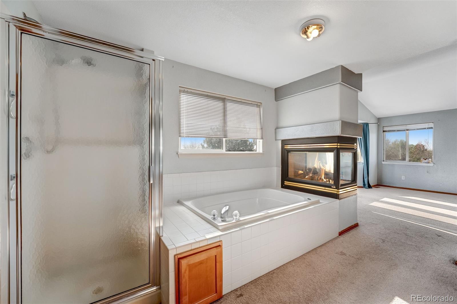 MLS Image #9 for 13964  fairfax street,thornton, Colorado
