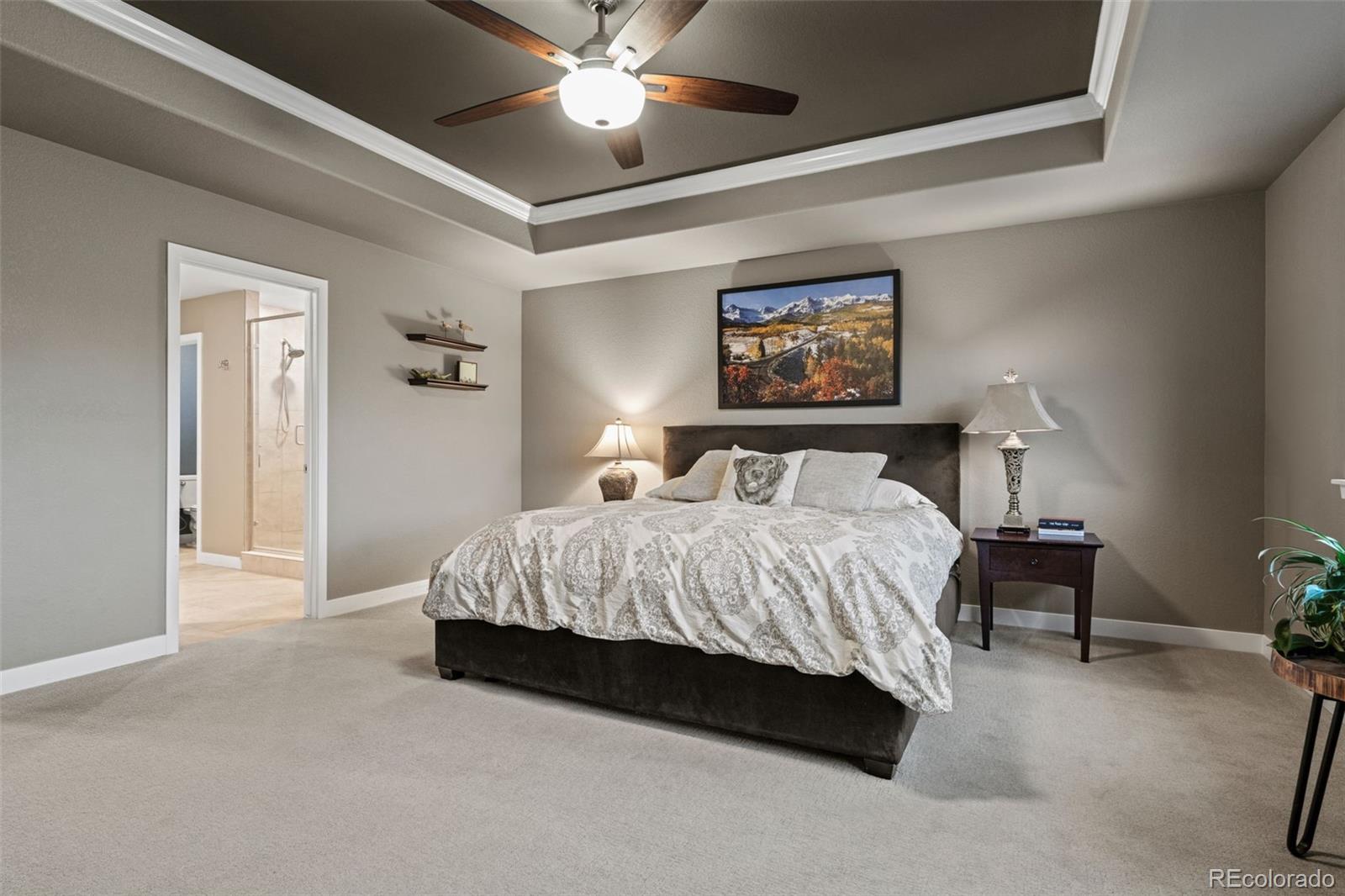 MLS Image #21 for 7056  hyland hills street,castle pines, Colorado
