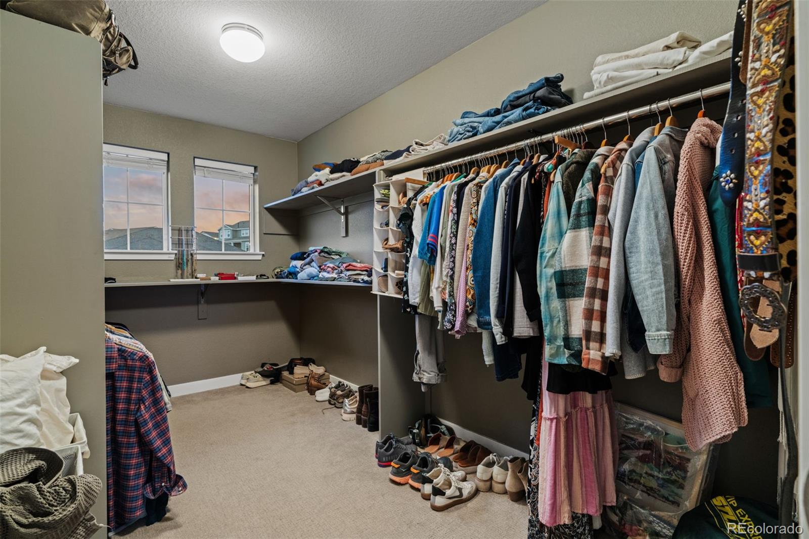 MLS Image #25 for 7056  hyland hills street,castle pines, Colorado